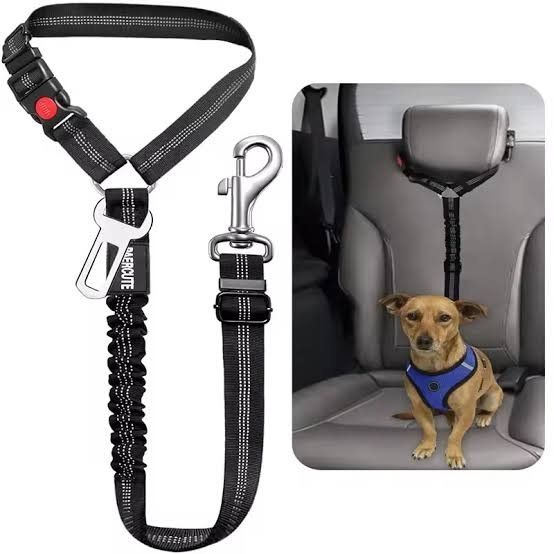 Correa ajustable para perros
